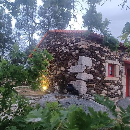 הוילה Sendim  Casa Do Feitor - Douro - Quinta Da Cabrida מראה חיצוני תמונה