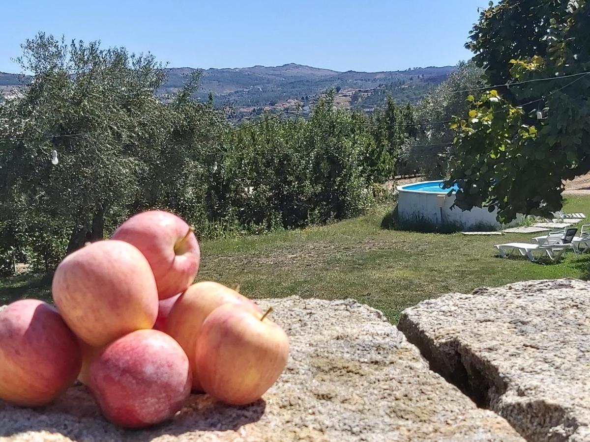 הוילה Sendim  Casa Do Feitor - Douro - Quinta Da Cabrida מראה חיצוני תמונה