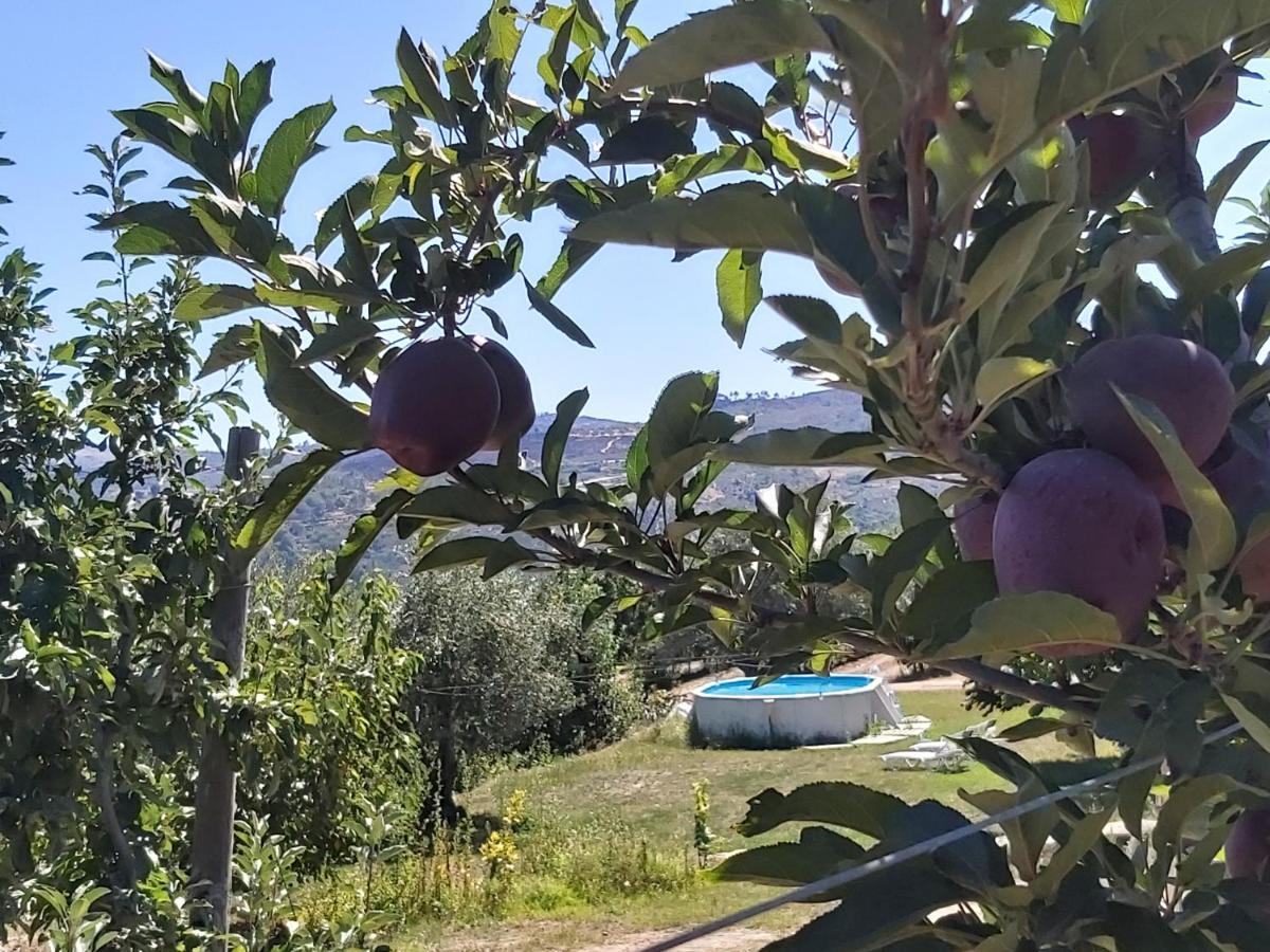 הוילה Sendim  Casa Do Feitor - Douro - Quinta Da Cabrida מראה חיצוני תמונה