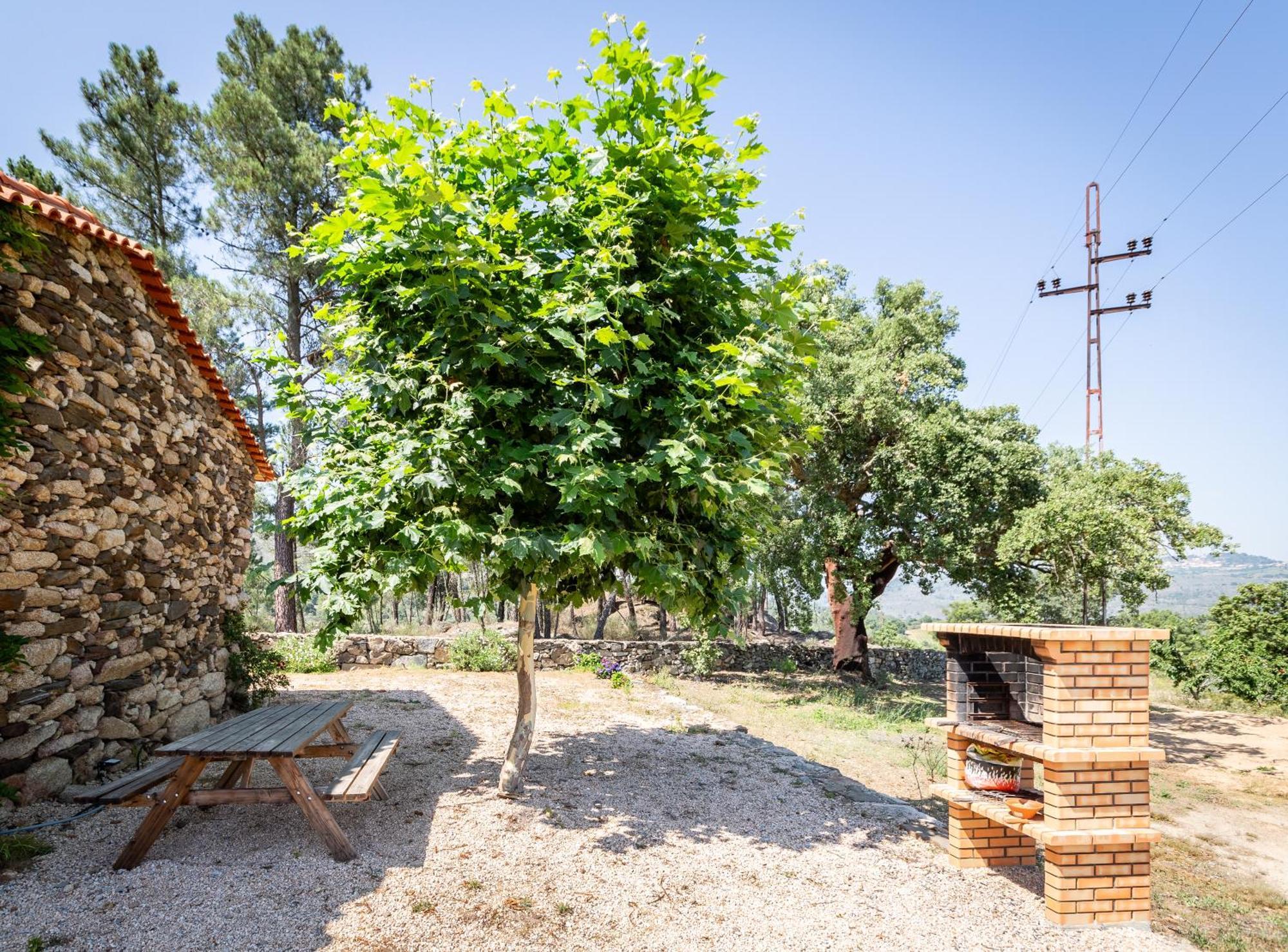 הוילה Sendim  Casa Do Feitor - Douro - Quinta Da Cabrida מראה חיצוני תמונה