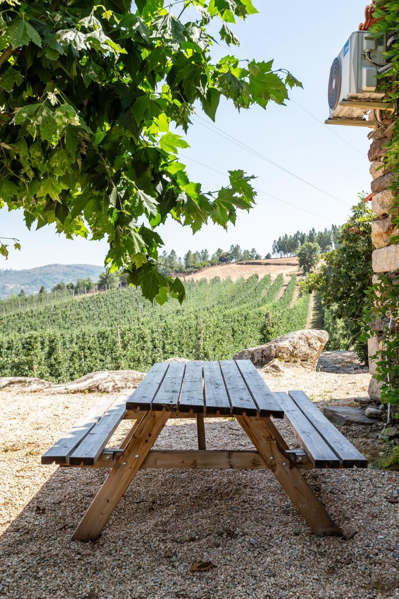 הוילה Sendim  Casa Do Feitor - Douro - Quinta Da Cabrida מראה חיצוני תמונה