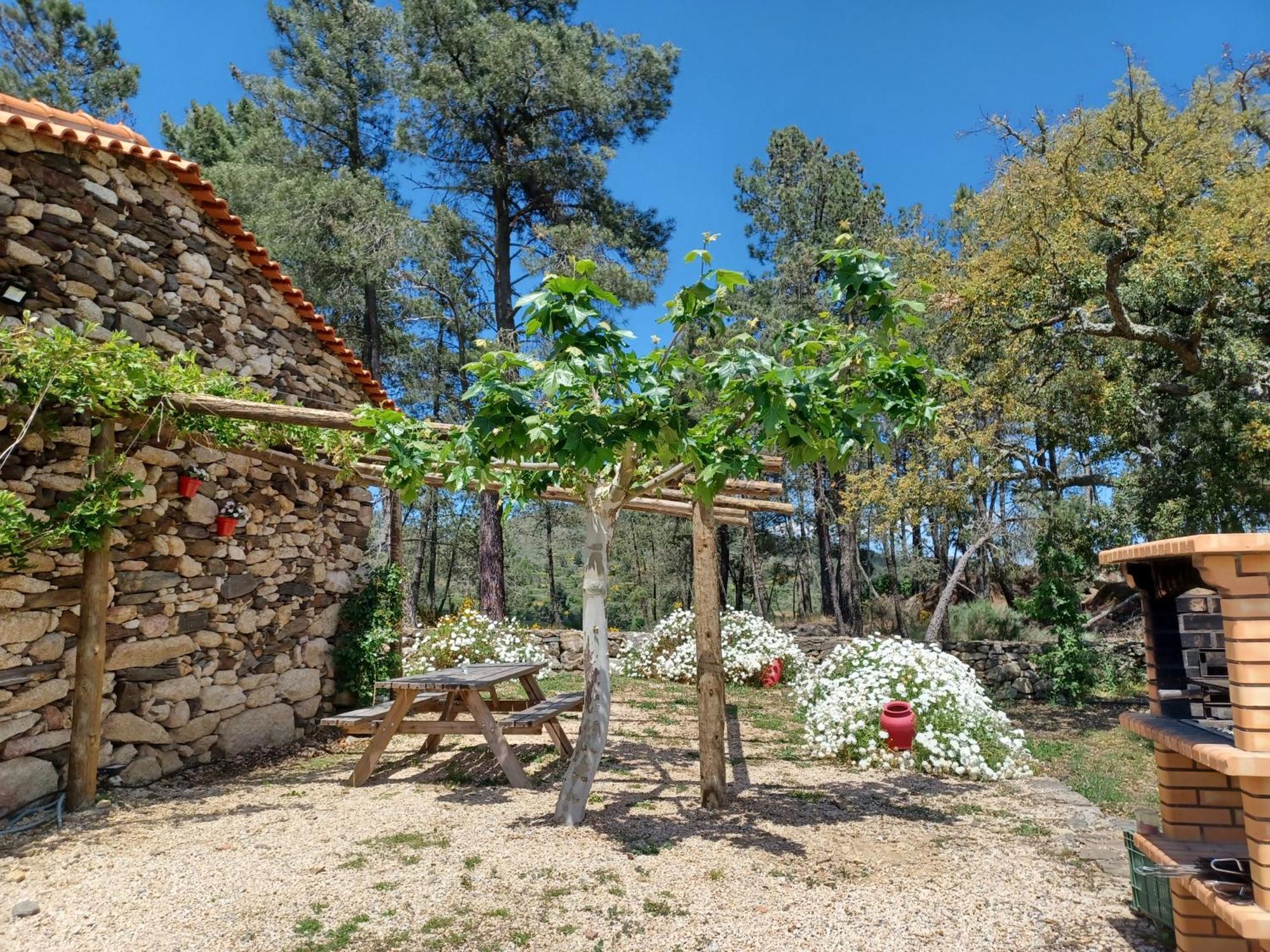 הוילה Sendim  Casa Do Feitor - Douro - Quinta Da Cabrida מראה חיצוני תמונה