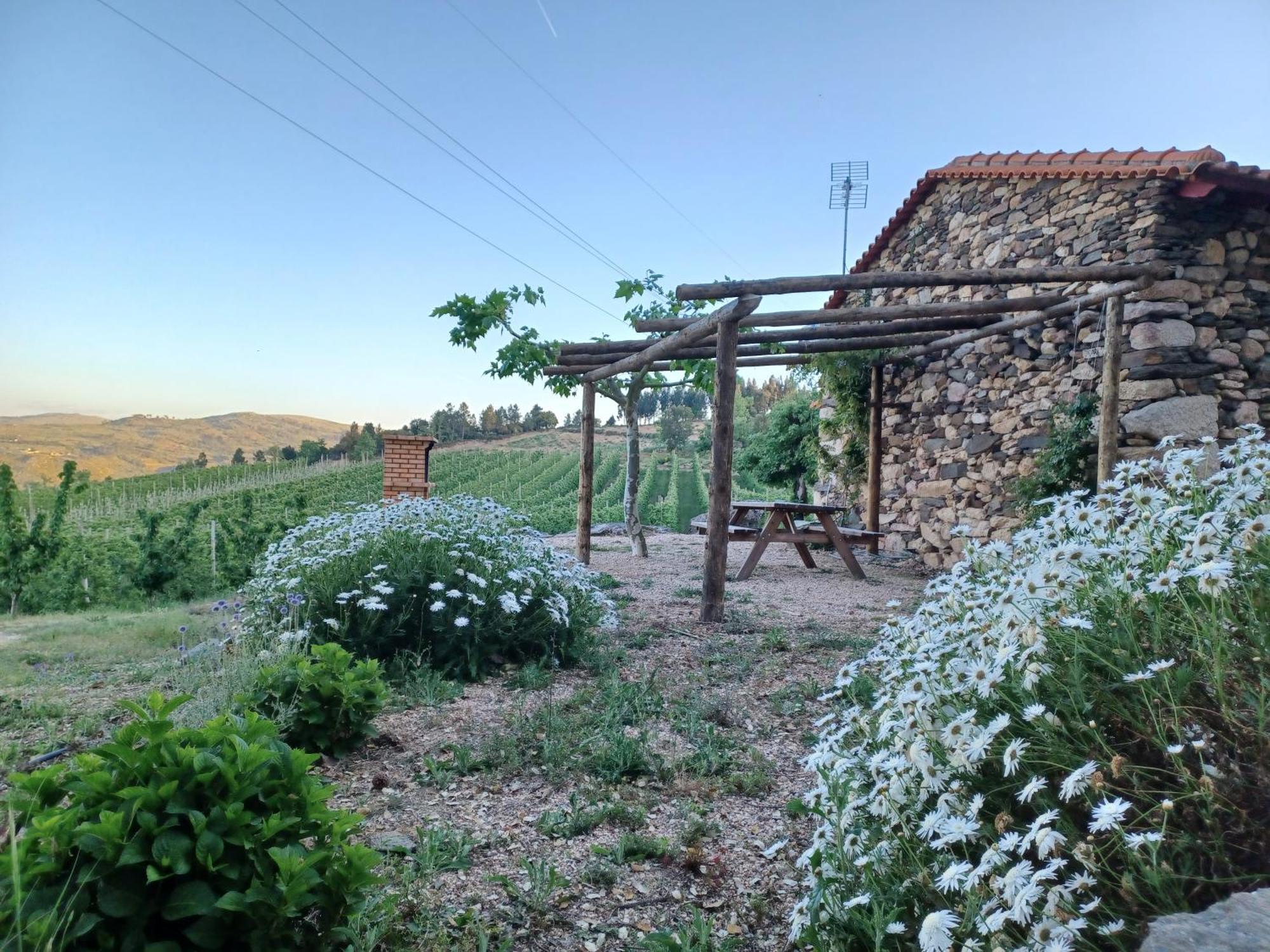 הוילה Sendim  Casa Do Feitor - Douro - Quinta Da Cabrida מראה חיצוני תמונה