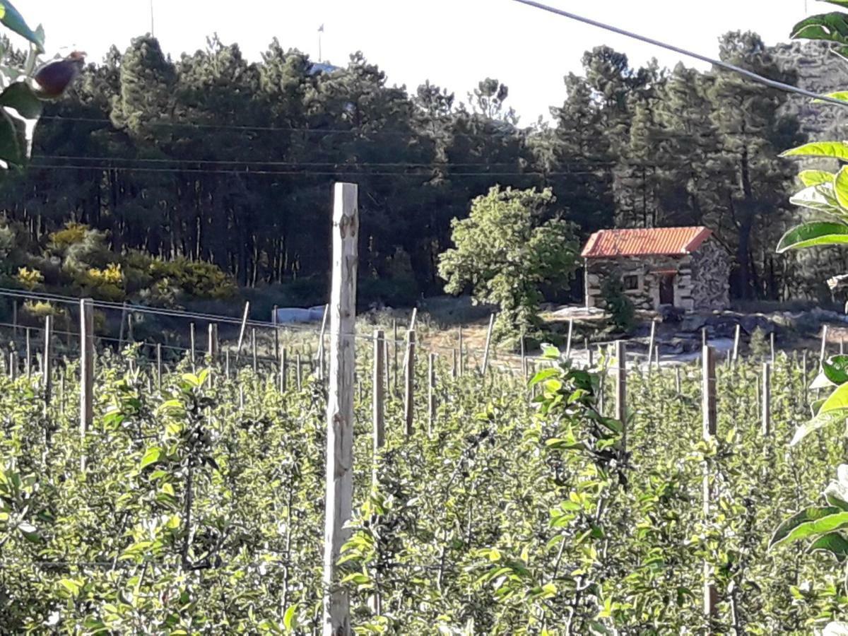 הוילה Sendim  Casa Do Feitor - Douro - Quinta Da Cabrida מראה חיצוני תמונה