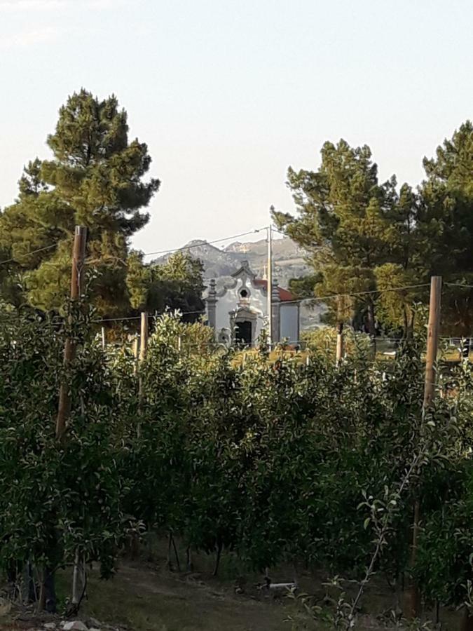 הוילה Sendim  Casa Do Feitor - Douro - Quinta Da Cabrida מראה חיצוני תמונה