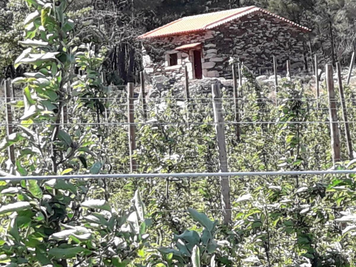 הוילה Sendim  Casa Do Feitor - Douro - Quinta Da Cabrida מראה חיצוני תמונה