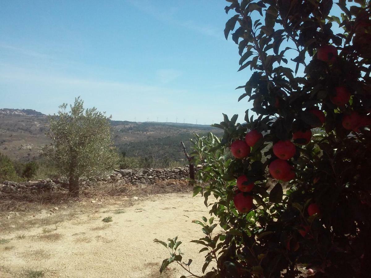 הוילה Sendim  Casa Do Feitor - Douro - Quinta Da Cabrida מראה חיצוני תמונה