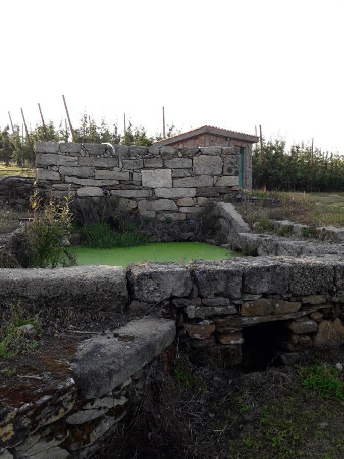 הוילה Sendim  Casa Do Feitor - Douro - Quinta Da Cabrida מראה חיצוני תמונה