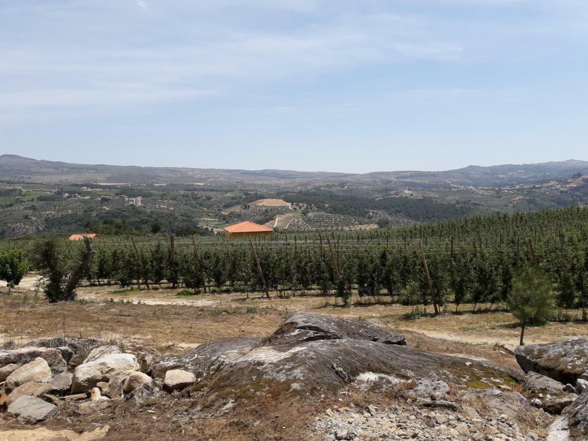 הוילה Sendim  Casa Do Feitor - Douro - Quinta Da Cabrida מראה חיצוני תמונה
