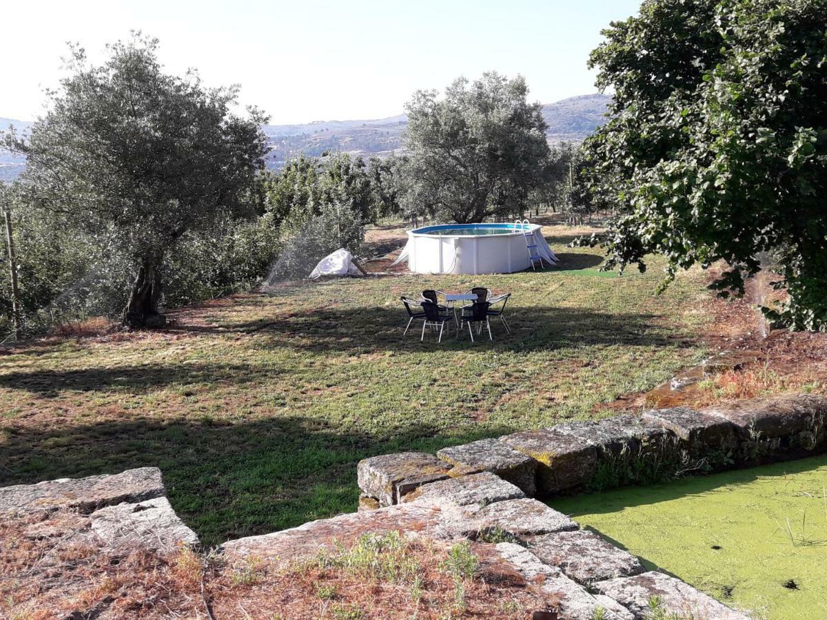 הוילה Sendim  Casa Do Feitor - Douro - Quinta Da Cabrida מראה חיצוני תמונה