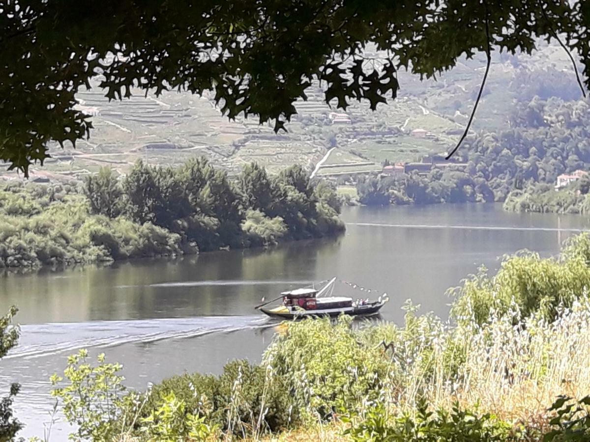 הוילה Sendim  Casa Do Feitor - Douro - Quinta Da Cabrida מראה חיצוני תמונה