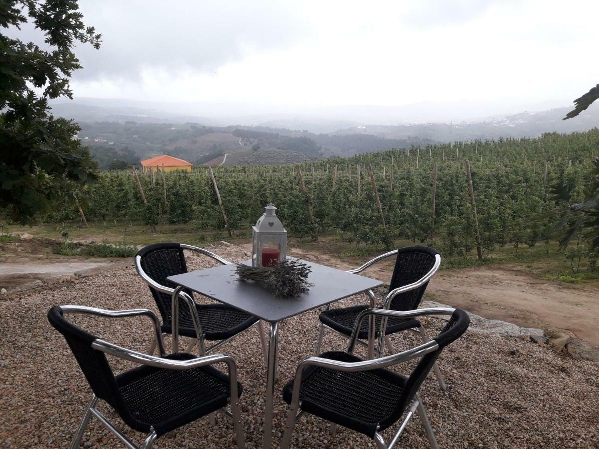 הוילה Sendim  Casa Do Feitor - Douro - Quinta Da Cabrida מראה חיצוני תמונה