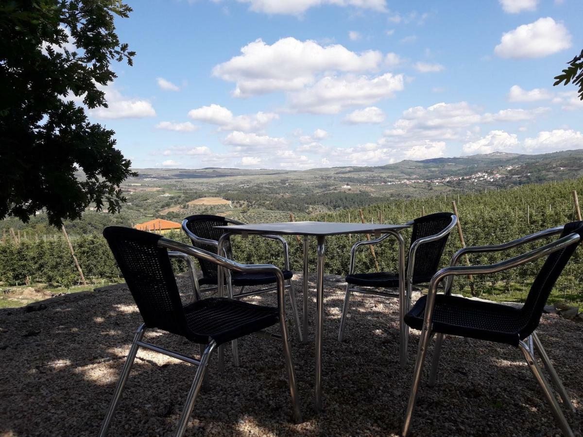 הוילה Sendim  Casa Do Feitor - Douro - Quinta Da Cabrida מראה חיצוני תמונה