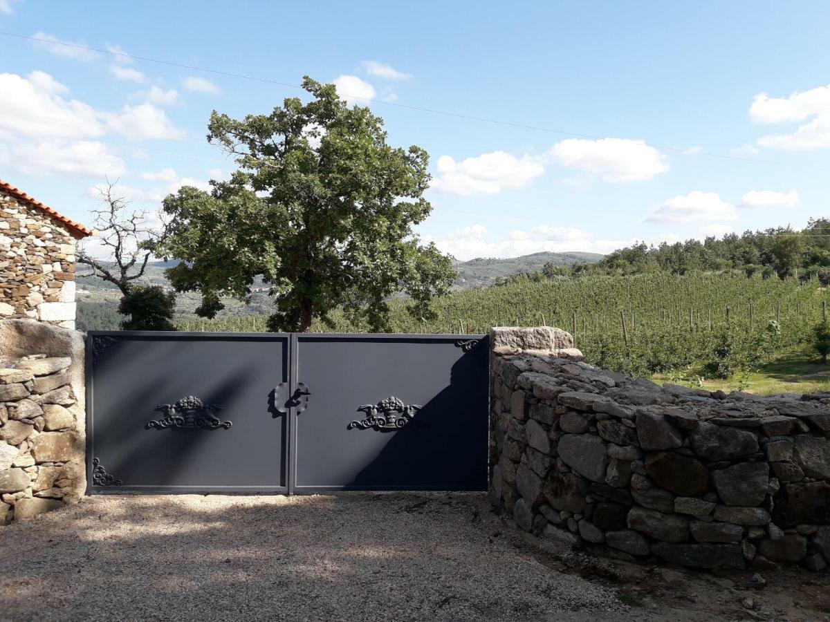 הוילה Sendim  Casa Do Feitor - Douro - Quinta Da Cabrida מראה חיצוני תמונה