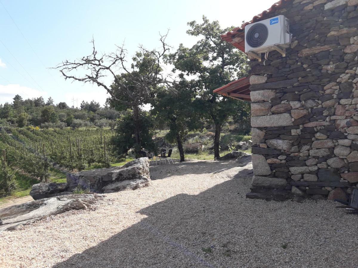 הוילה Sendim  Casa Do Feitor - Douro - Quinta Da Cabrida מראה חיצוני תמונה