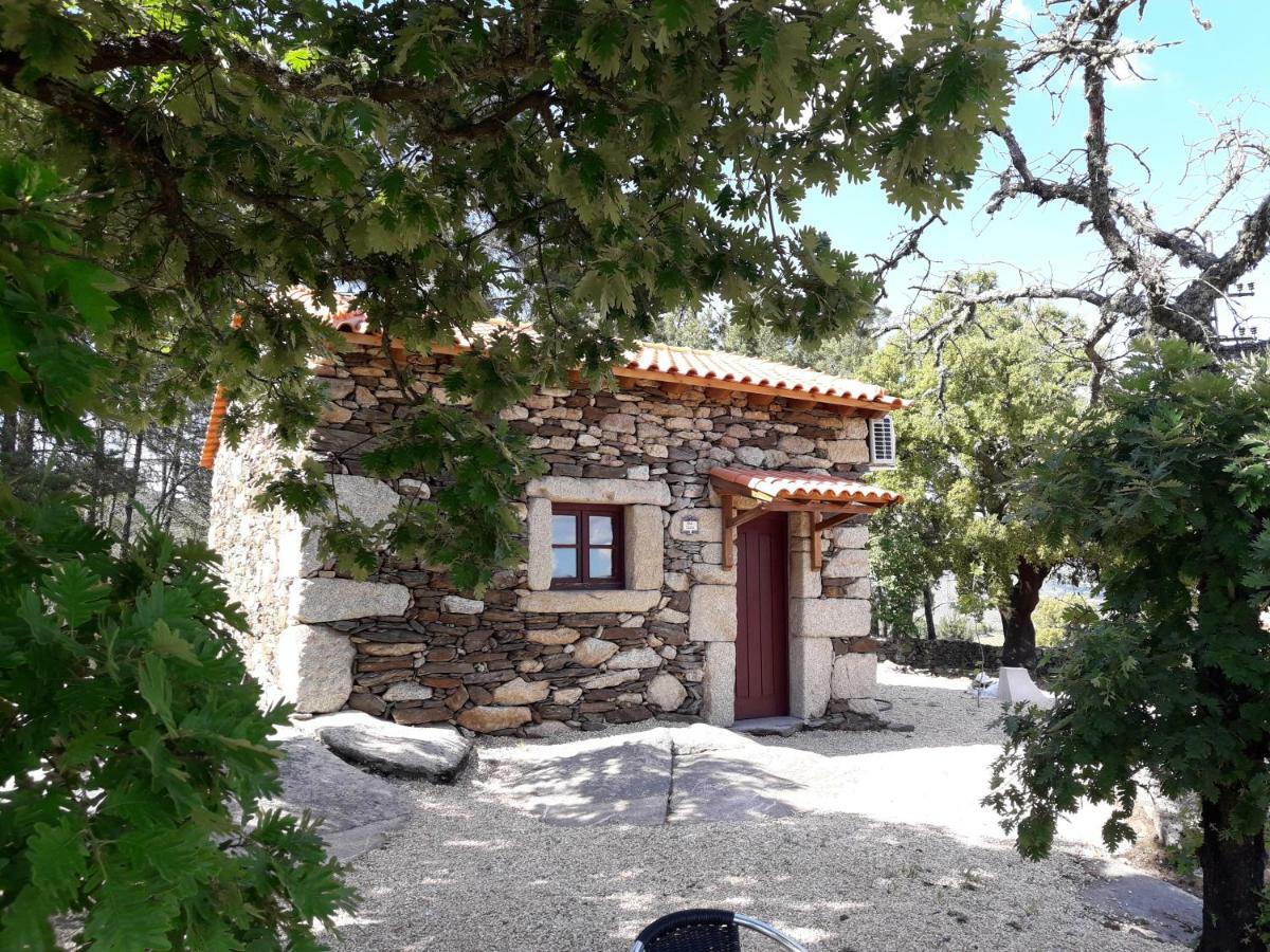 הוילה Sendim  Casa Do Feitor - Douro - Quinta Da Cabrida מראה חיצוני תמונה