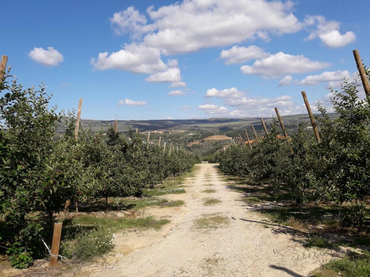 הוילה Sendim  Casa Do Feitor - Douro - Quinta Da Cabrida מראה חיצוני תמונה