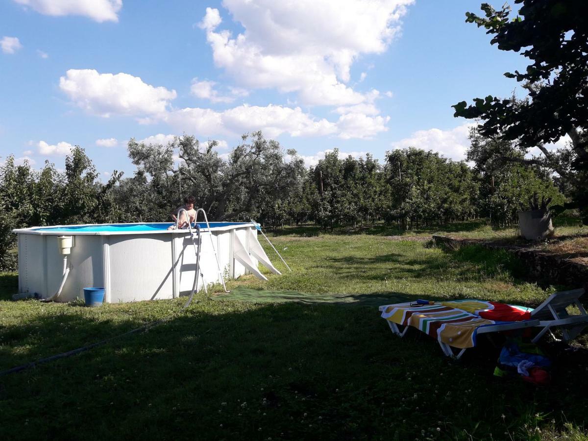הוילה Sendim  Casa Do Feitor - Douro - Quinta Da Cabrida מראה חיצוני תמונה