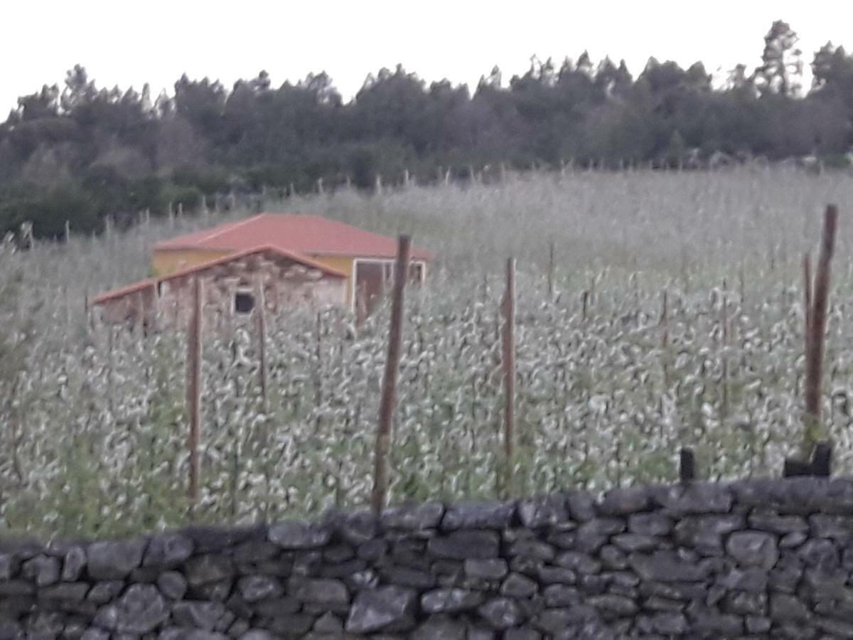 הוילה Sendim  Casa Do Feitor - Douro - Quinta Da Cabrida מראה חיצוני תמונה
