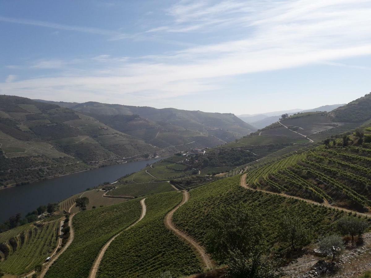 הוילה Sendim  Casa Do Feitor - Douro - Quinta Da Cabrida מראה חיצוני תמונה