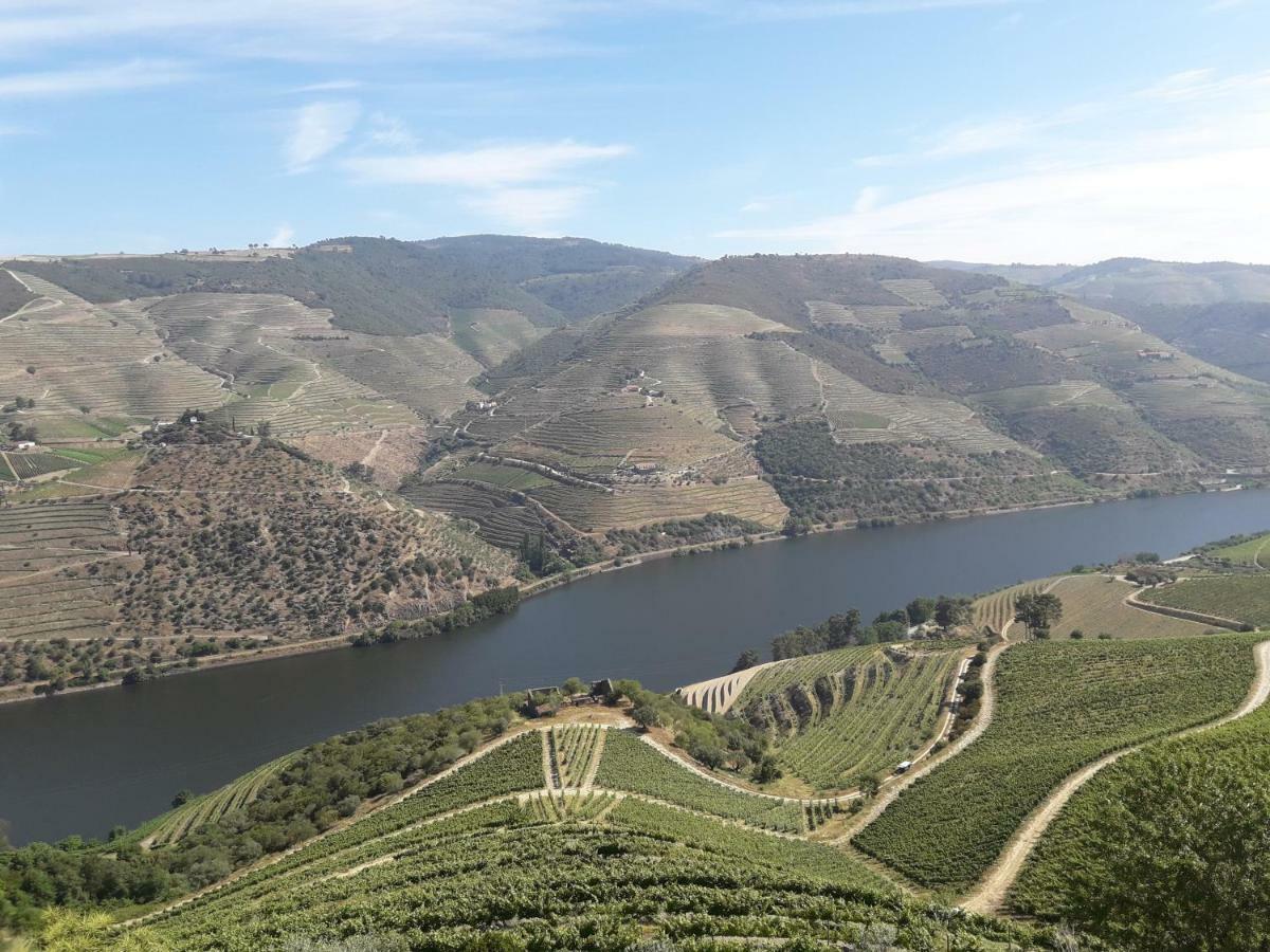 הוילה Sendim  Casa Do Feitor - Douro - Quinta Da Cabrida מראה חיצוני תמונה