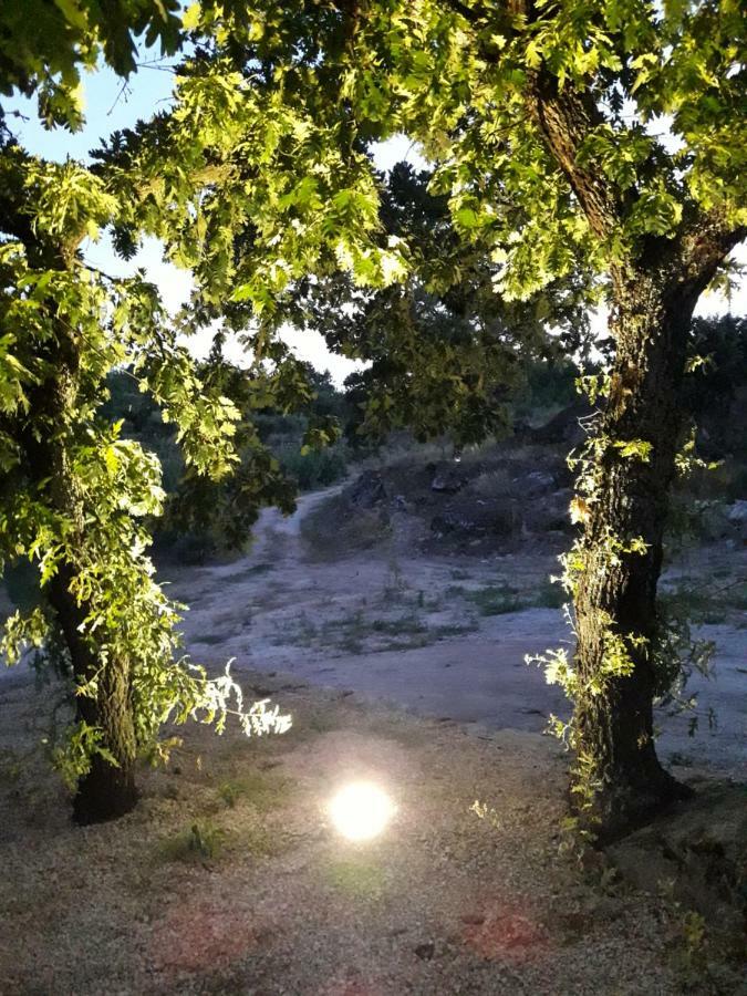 הוילה Sendim  Casa Do Feitor - Douro - Quinta Da Cabrida מראה חיצוני תמונה