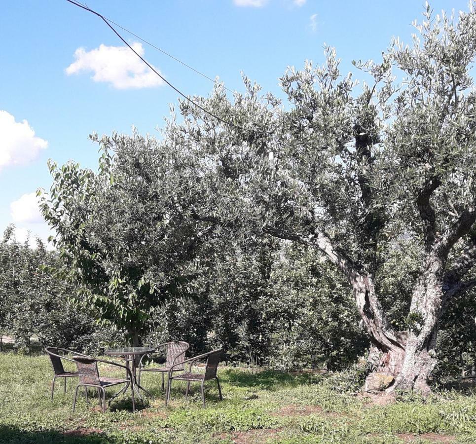 הוילה Sendim  Casa Do Feitor - Douro - Quinta Da Cabrida מראה חיצוני תמונה