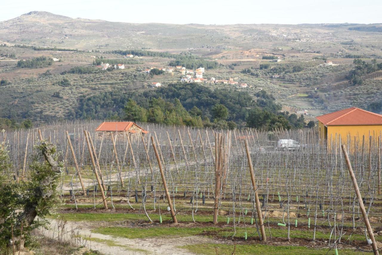 הוילה Sendim  Casa Do Feitor - Douro - Quinta Da Cabrida מראה חיצוני תמונה